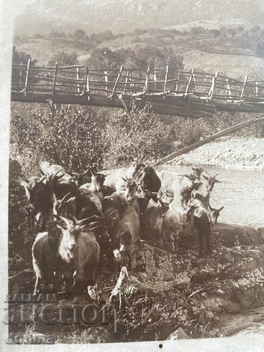 Вършец Стара снимка мост над р.Сопово 1900г фотография+Рамка с цена 120.00 лв. | € 61.36 Вършец Стара снимка мост над р.Сопово 1900г фотография+Рамка с цена 120.00 лв. | € 61.36