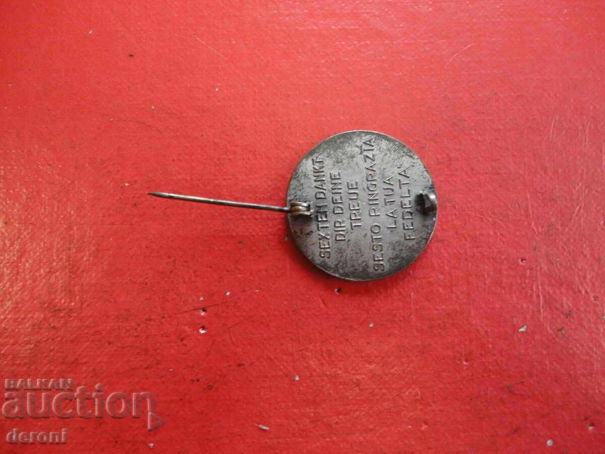 Semn insignă superb cu email 2 - 5 Semn insignă superb cu email 2 - 5