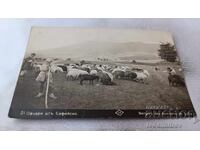 Пощенска картичка Овчари отъ Софийско Гр. Пасковъ 1929