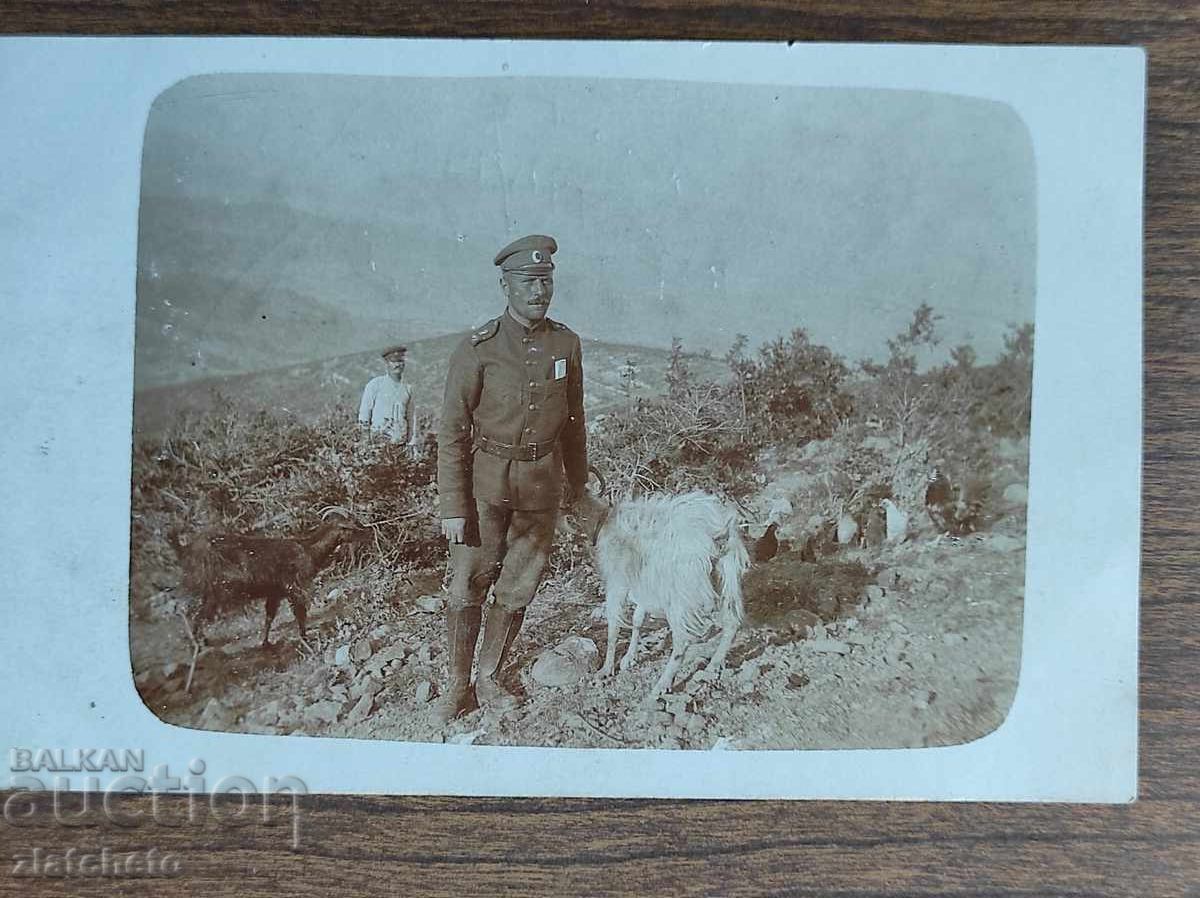 Foto veche Regatul Bulgariei - PSV Foto veche Regatul Bulgariei - PSV