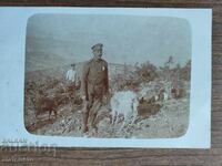 Foto veche Regatul Bulgariei - PSV