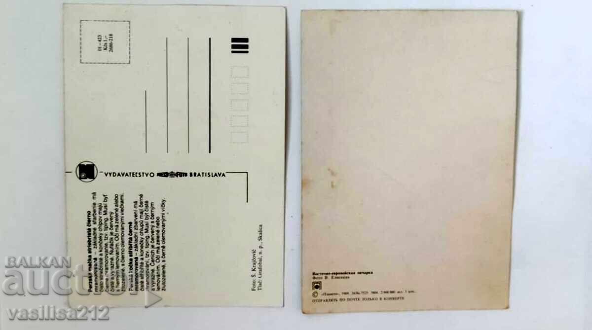 Cărți poștale, 2 bucăți cu preț 1.00 BGN | € 0.51