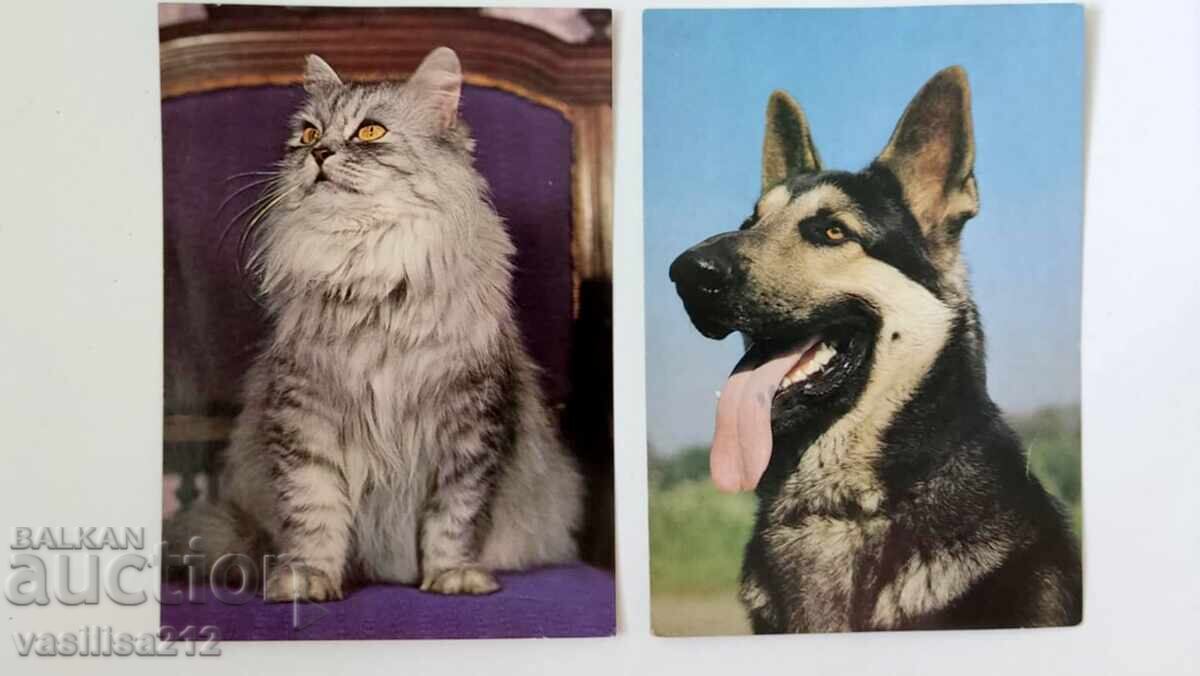 Cărți poștale, 2 bucăți