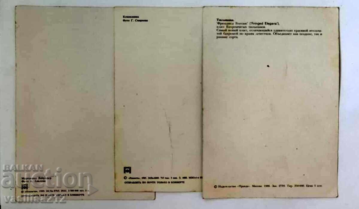 Cards, 3 pieces with price 1.30 BGN | € 0.66