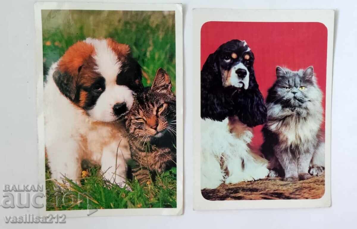 Cărți poștale, 2 bucăți