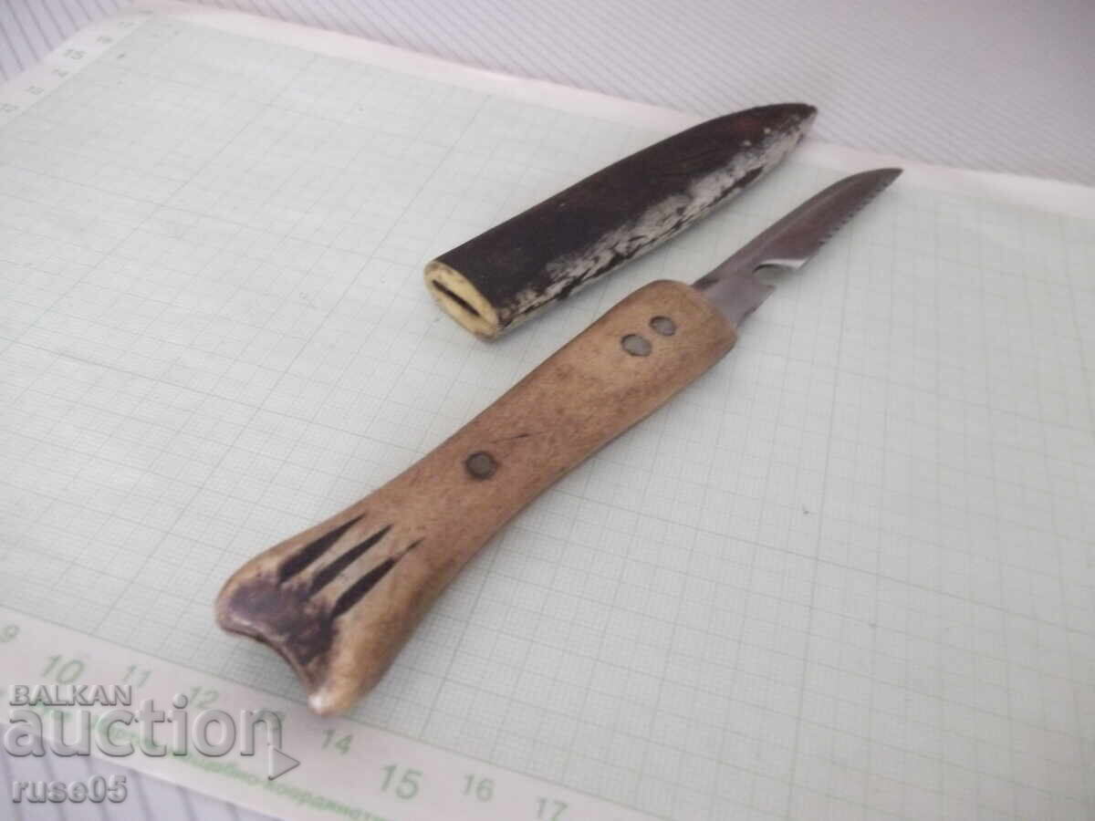 Нож с формата на риба - 5