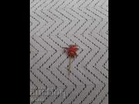 Vechi insignă BGA Balkan, Balkan