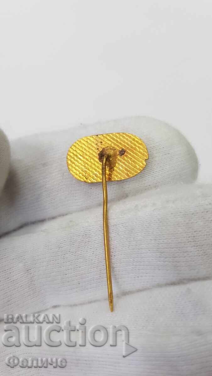 Delivery of Communist sign, badge 25 years "SILA" 1972