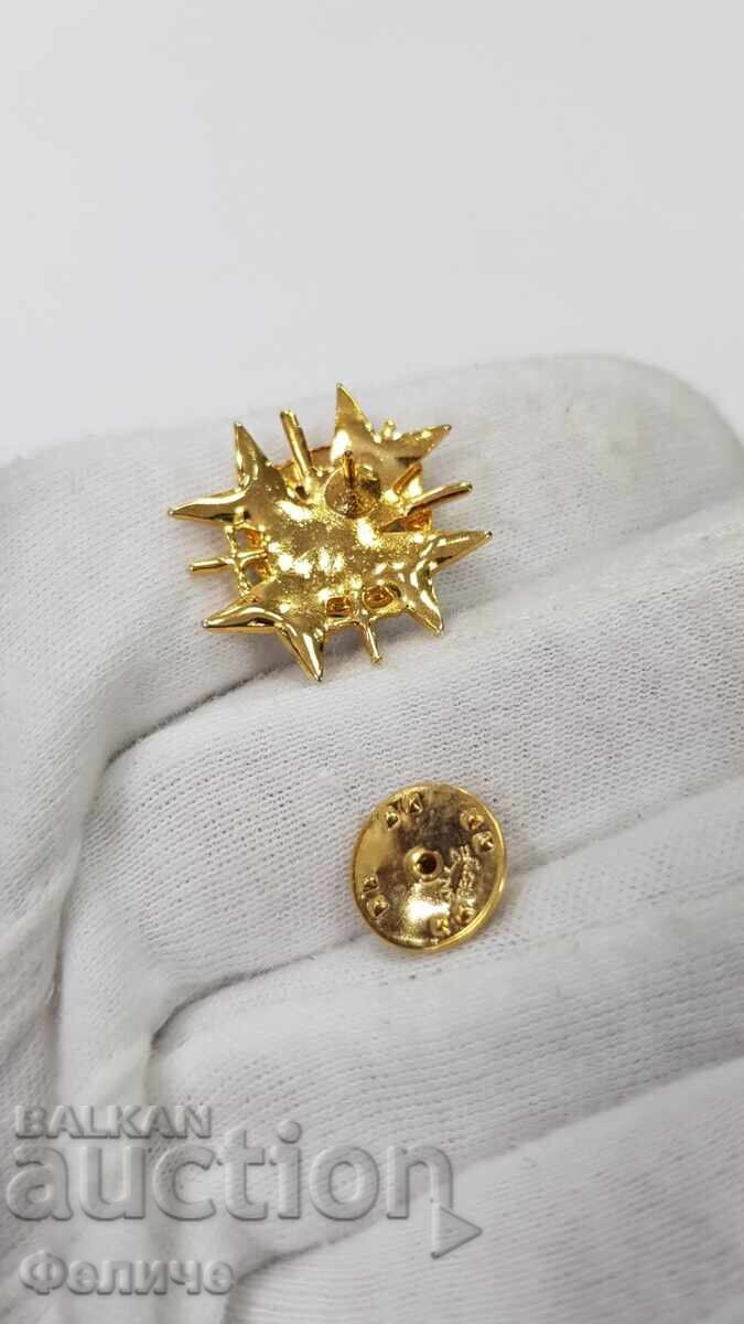 Delivery of Beautiful badge, insignia for Reserve Officers 21st century