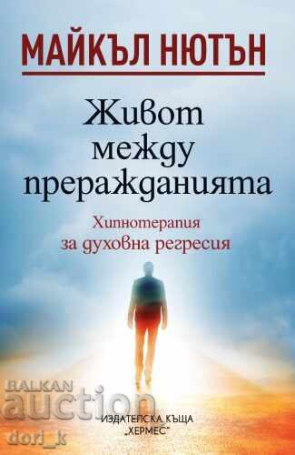 Life between reincarnations