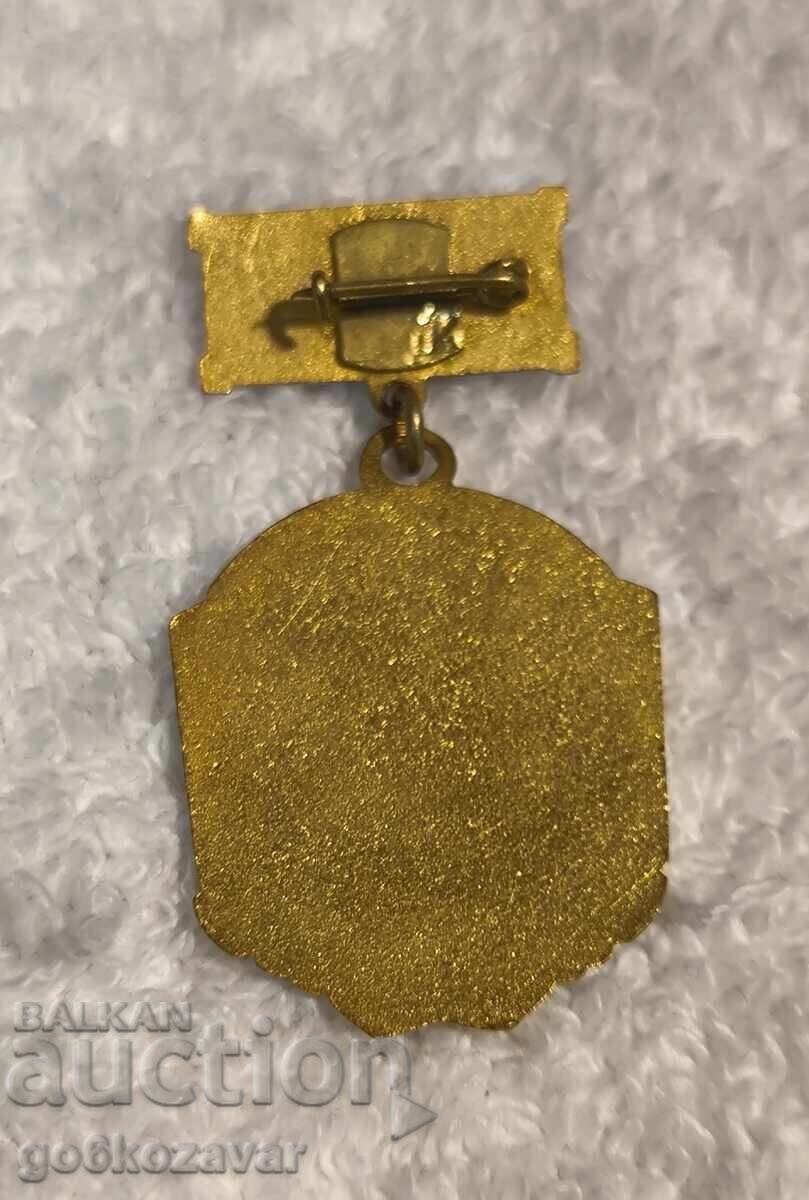 Аукцион Рядък комунистически знак, значка ТКЗС-Д. БАНЯ