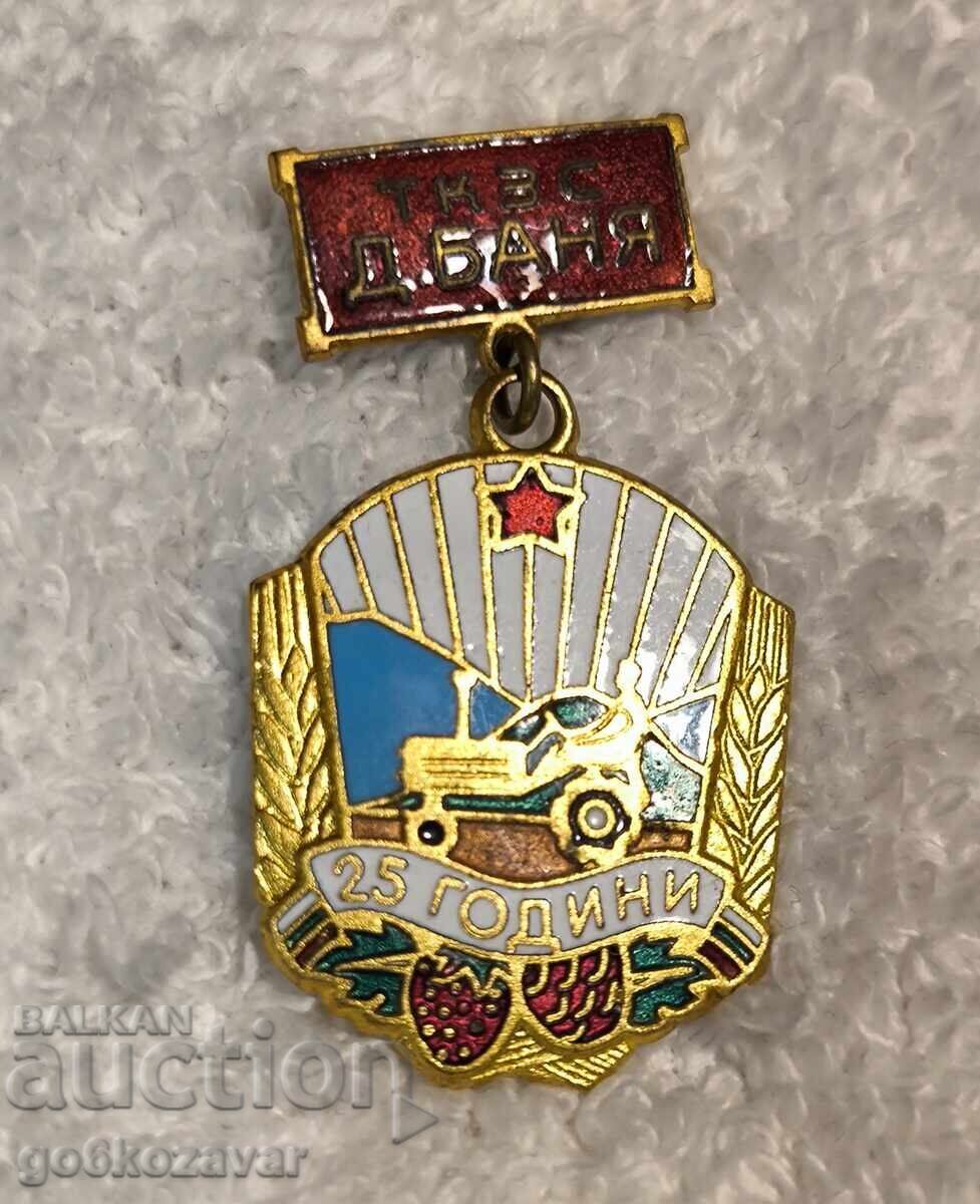 Рядък комунистически знак, значка ТКЗС-Д. БАНЯ