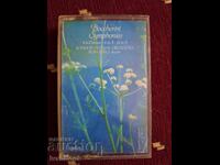 Caseta audio - Boccherini