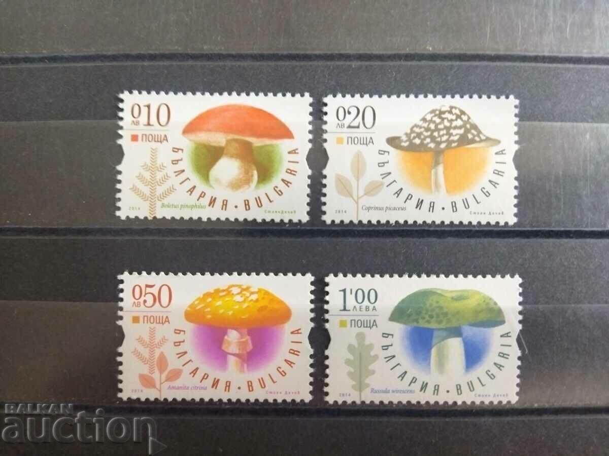 Гъби от 2014г. №5113/16 с цена 3.00 лв. | € 1.53 Гъби от 2014г. №5113/16 с цена 3.00 лв. | € 1.53