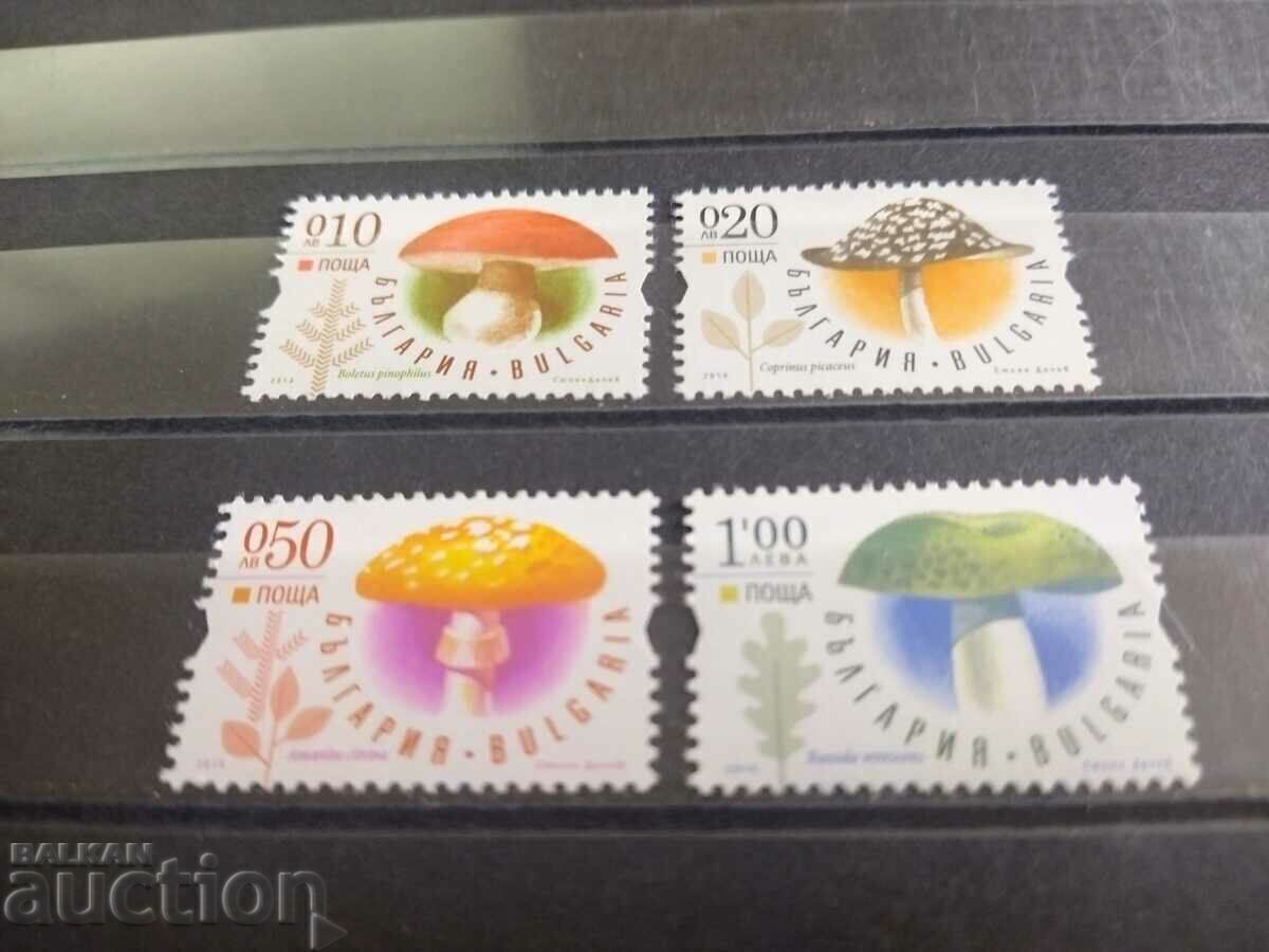 Гъби от 2014г. №5113/16 Гъби от 2014г. №5113/16