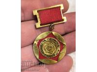 Σοσιαλιστικό παράσημο - Πρωταθλητής 6ης πενταετίας