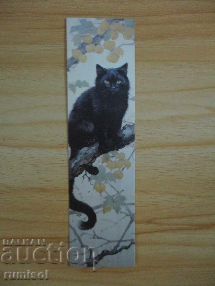 Black Cat Book Divider