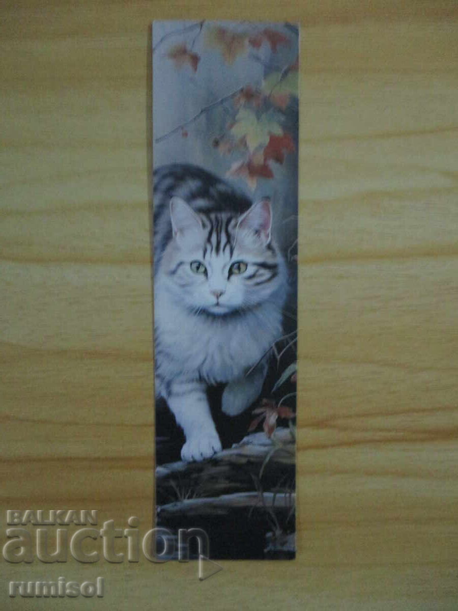 Book divider autumn and cat