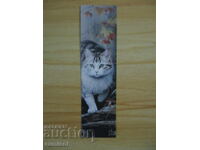 Book divider autumn and cat