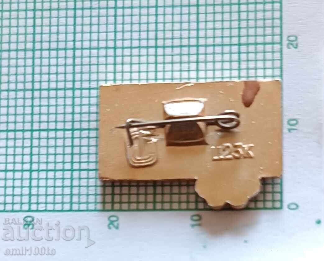 Delivery of Badge - Olympics Moscow 1980 Handball Delivery of Badge - Olympics Moscow 1980 Handball