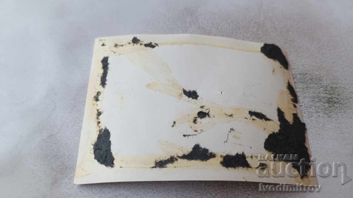 Foto Doi băieți pe plajă cu preț 2.35 BGN | € 1.20 Foto Doi băieți pe plajă cu preț 2.35 BGN | € 1.20