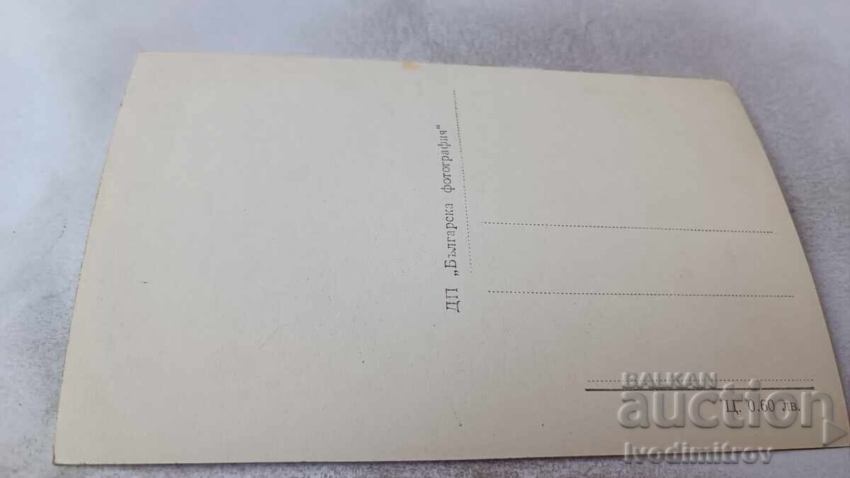 Carte poștală Narechenski bani Stație de vacanță cu preț € 14.00 | 27.38 BGN