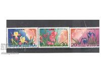 Coreea de Nord - Flori