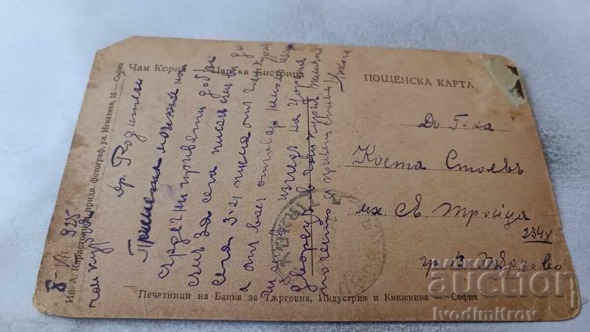 Пощенска картичка Чамъ Кория Царска Бистрица 1925 с цена 8.65 лв. | € 4.42 Пощенска картичка Чамъ Кория Царска Бистрица 1925 с цена 8.65 лв. | € 4.42