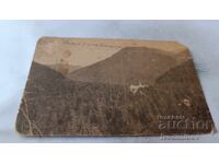 Carte poștală Çamkoria Țarska Bistrița 1925