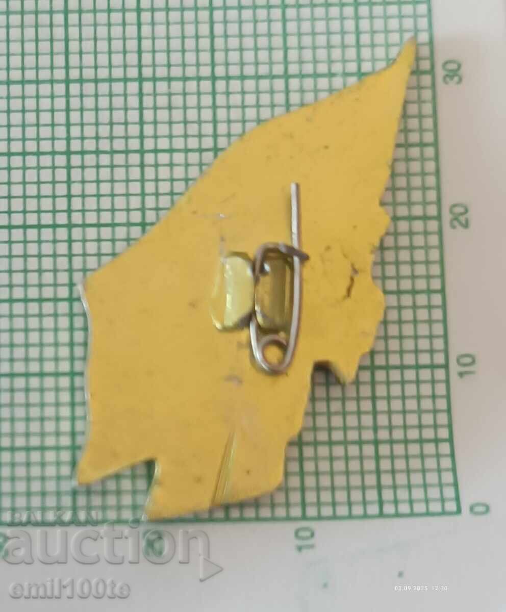 Delivery of Badge - North Korea propaganda - CHOLLIMA Korea