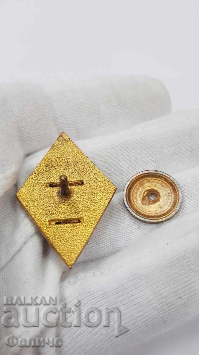 Collectible military badge, rhombus "VA" G. S. Rakovski 1970-1980 - 5