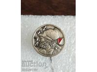 Ποδοσφαιρική κονκάρδα Άγιαξ Άμστερνταμ