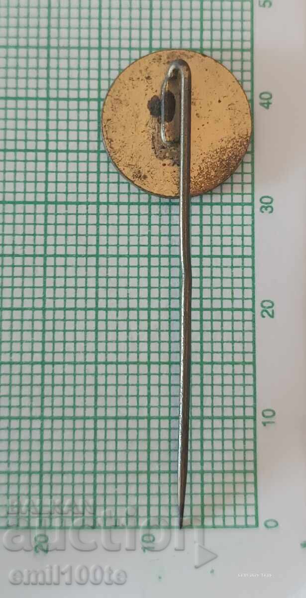 Livrarea Emblemă - Federația Germană de Fotbal