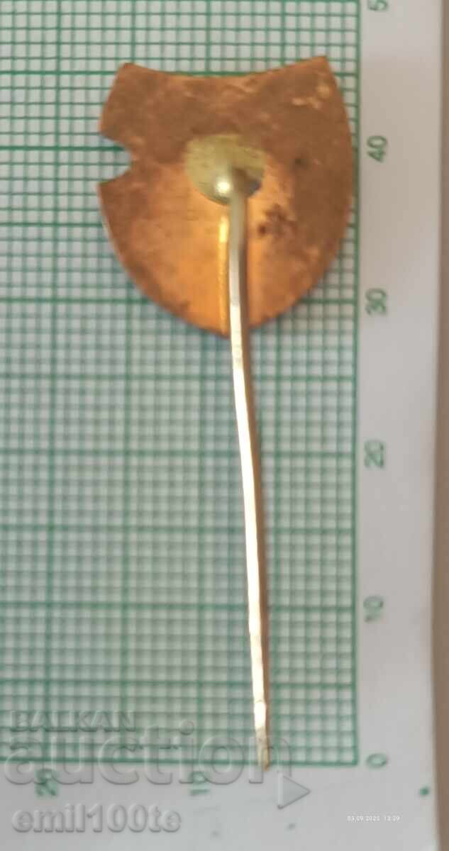 Доставка на Значка- Футболен клуб TJ Vitkivice Чехия