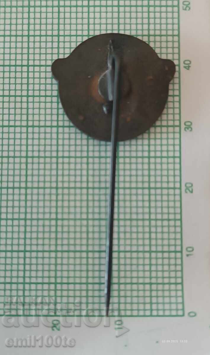 Delivery of Badge - 25g Sports and Football Club SKS START Lodz Poland