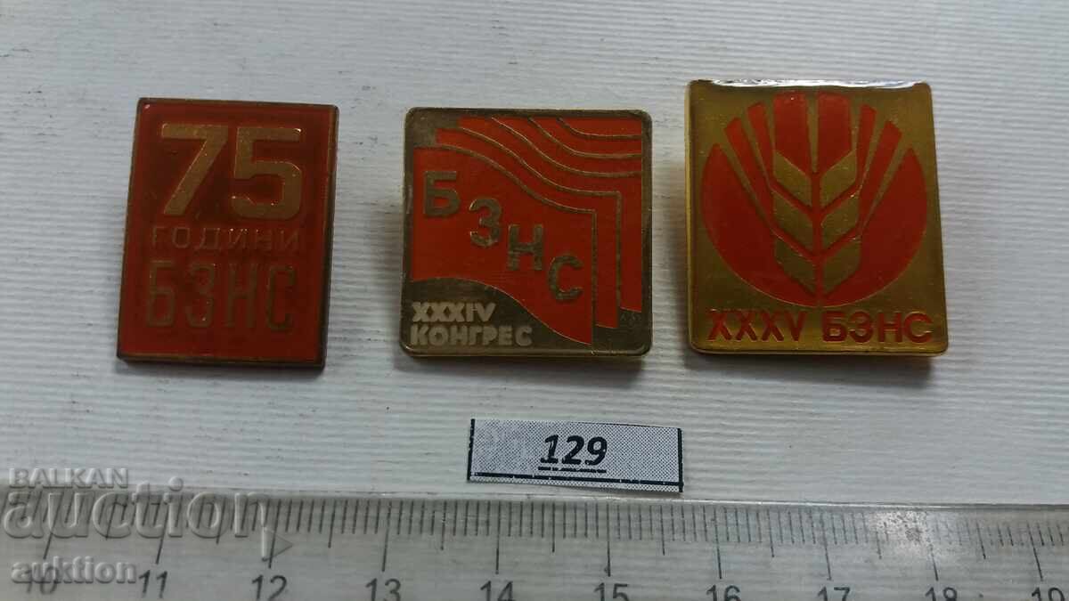 Δημοπρασία ΧΑΛΚΙΝΑ ΣΗΜΑΤΑ 3 ΤΕΜΑΧΙΑ