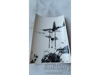 Fotografie Băiat cu pantaloni scurți și schiuri iarna