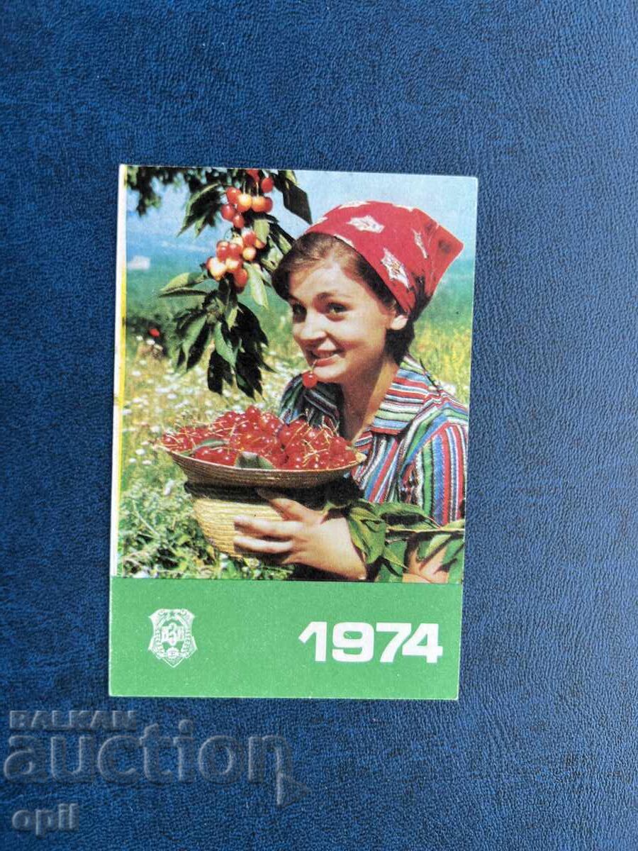 Calendar DZI 1974