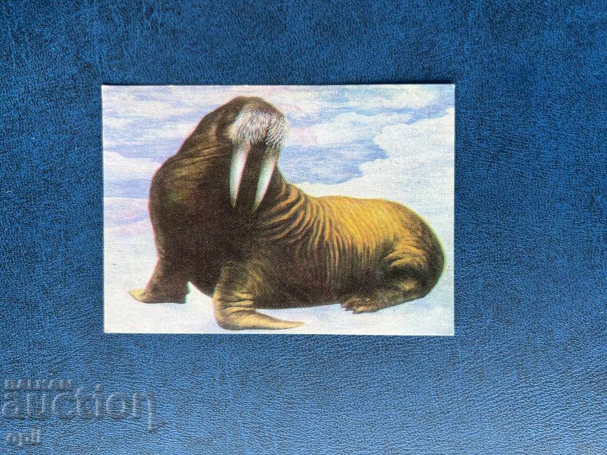 Calendar 1978 Calendar 1978