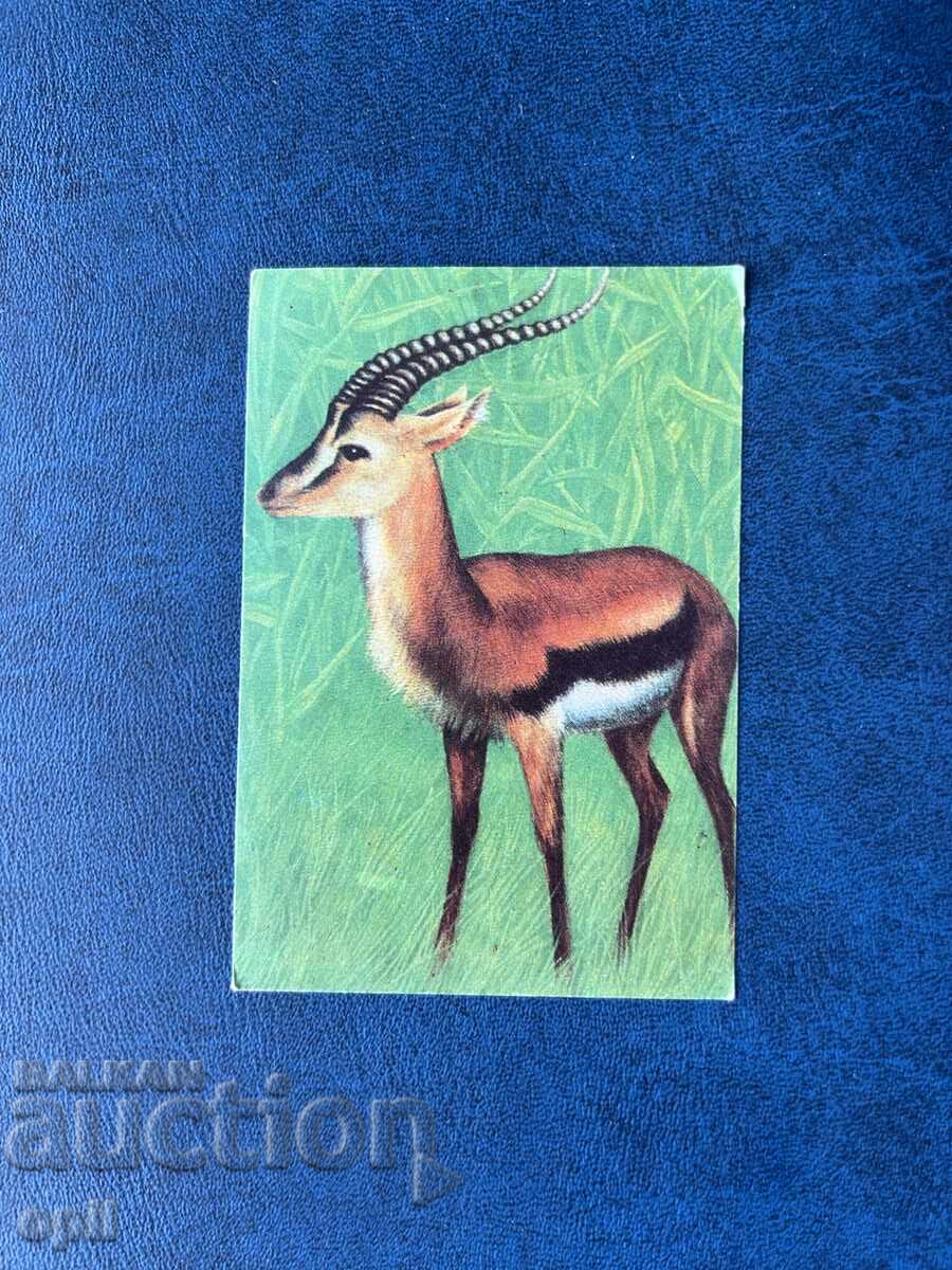 Calendar 1978 Calendar 1978