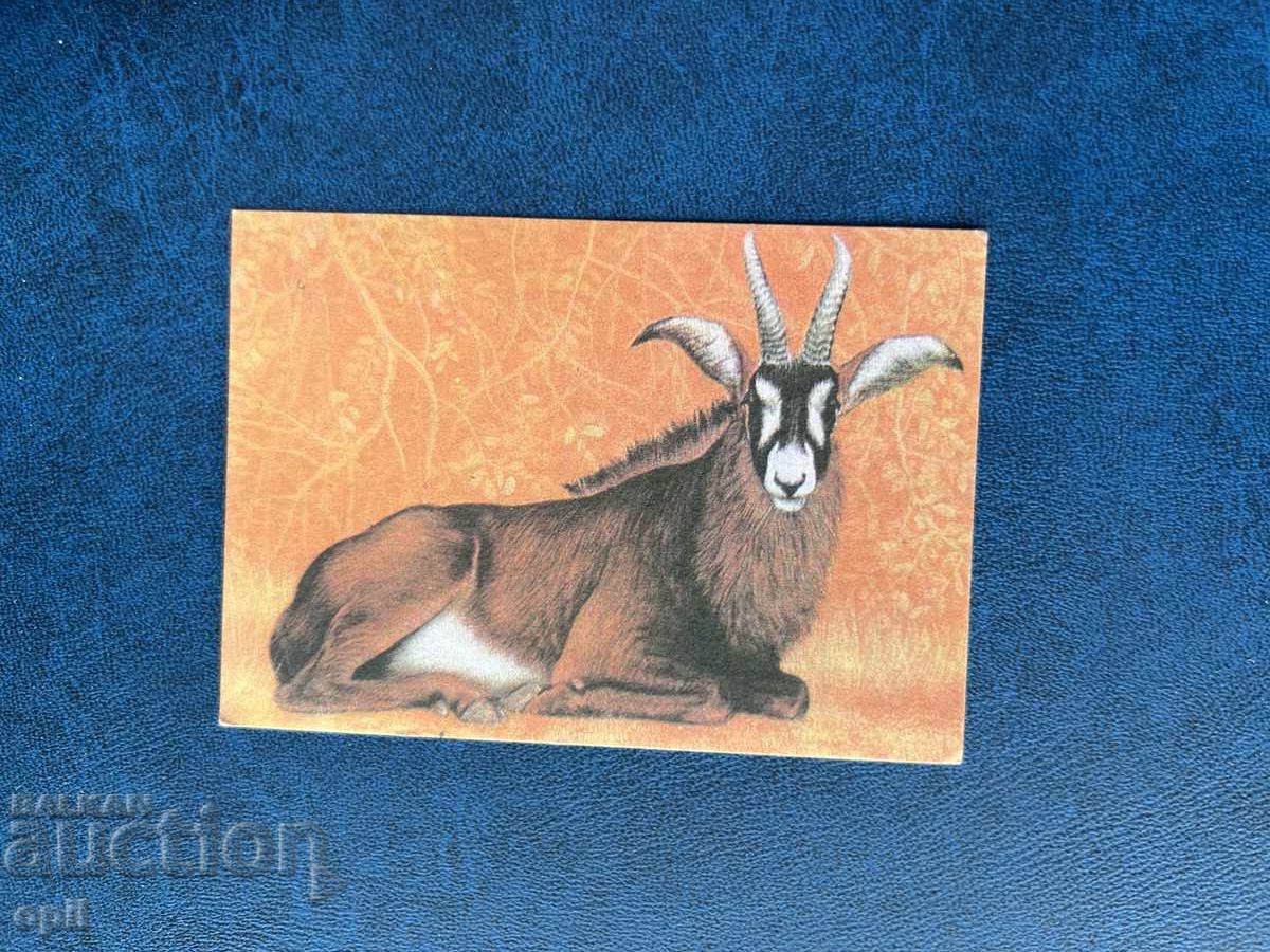 Calendar 1978 Calendar 1978