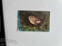 Календарче  1984