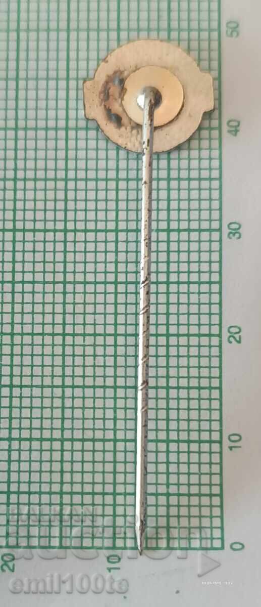 Доставка на Значка- DVV Федерация по волейбол на Германия