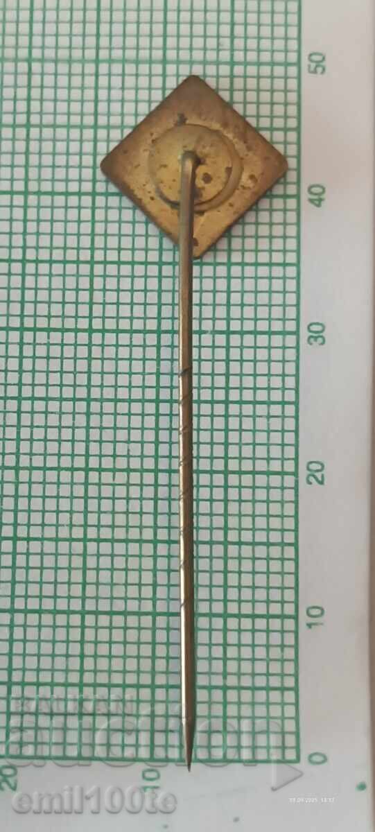 Доставка на Значка- ETV SFG Федерация по гимнастика на Швейцария Доставка на Значка- ETV SFG Федерация по гимнастика на Швейцария