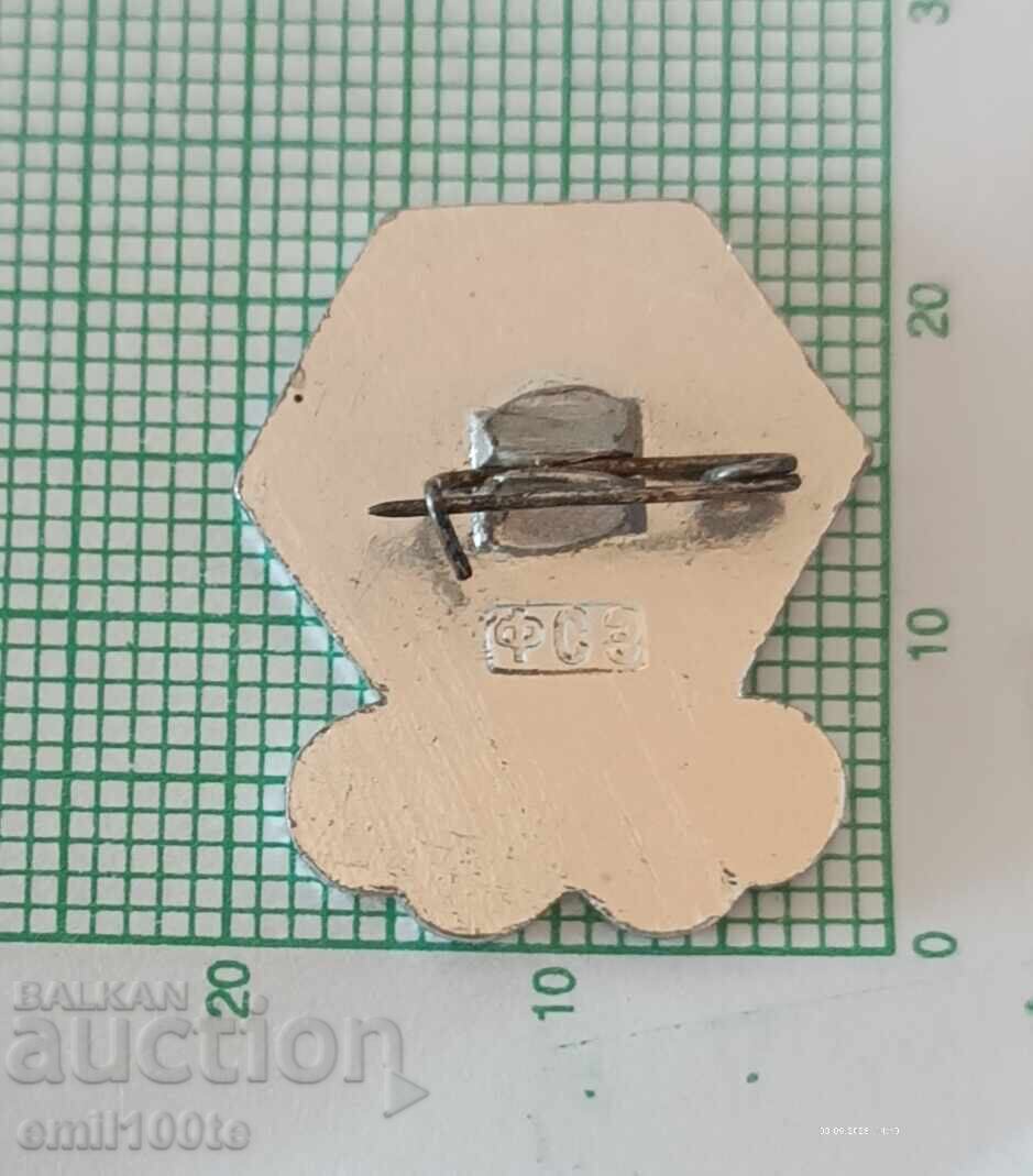 Значка- Зимна Олимпиада СССР - 5