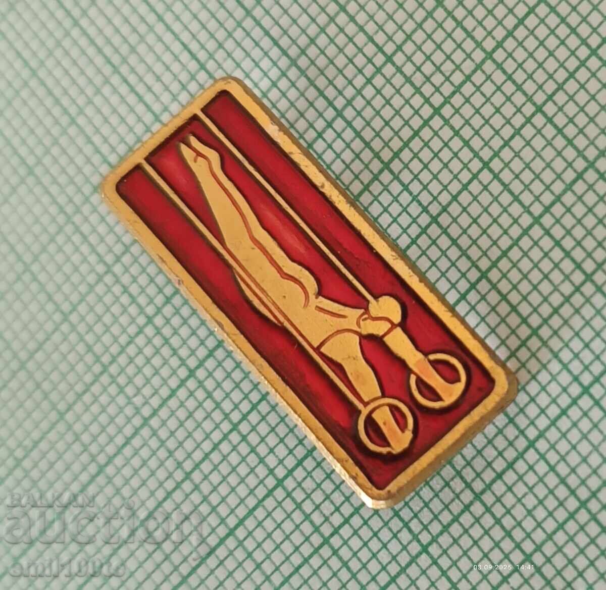 Δημοπρασία Znachka - Sportική Γυμναστική ΕΣΣΔ Δημοπρασία Znachka - Sportική Γυμναστική ΕΣΣΔ