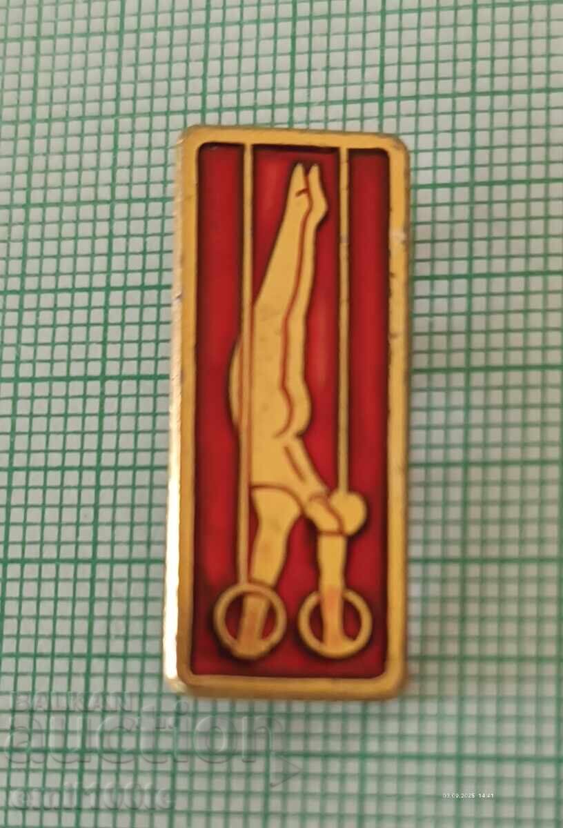 Znachka - Sportική Γυμναστική ΕΣΣΔ Znachka - Sportική Γυμναστική ΕΣΣΔ