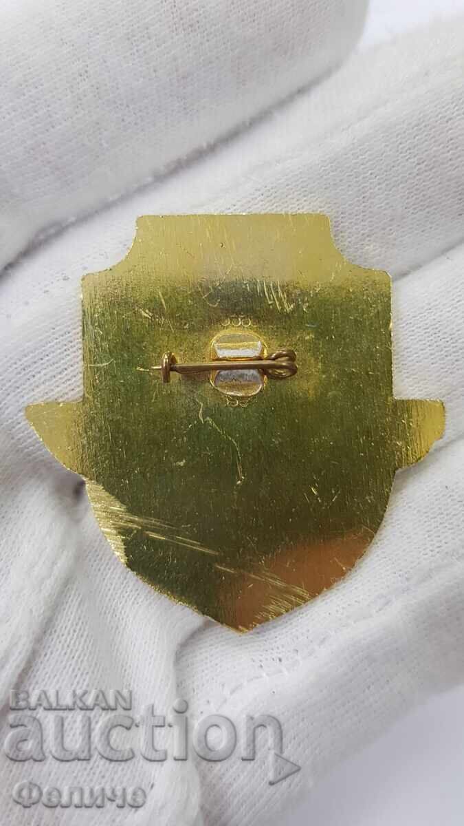 Рядък български подводничарски знак, значка с цена € 90.00 | 176.02 лв.