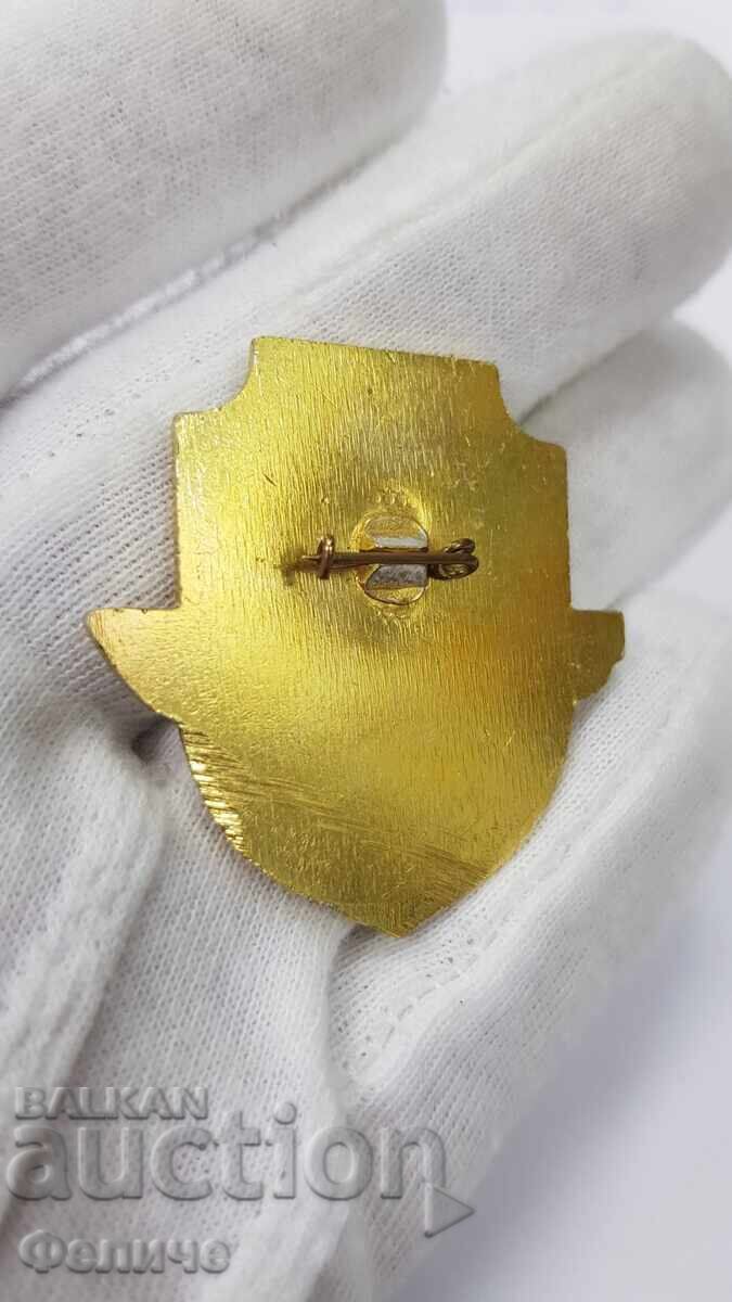 Δημοπρασία Σπάνιο βουλγαρικό σήμα δύτη, κονκάρδα Δημοπρασία Σπάνιο βουλγαρικό σήμα δύτη, κονκάρδα