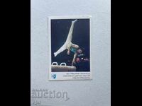 Levski - Spartak Calendar, Lyubomir Geraskov, 1989